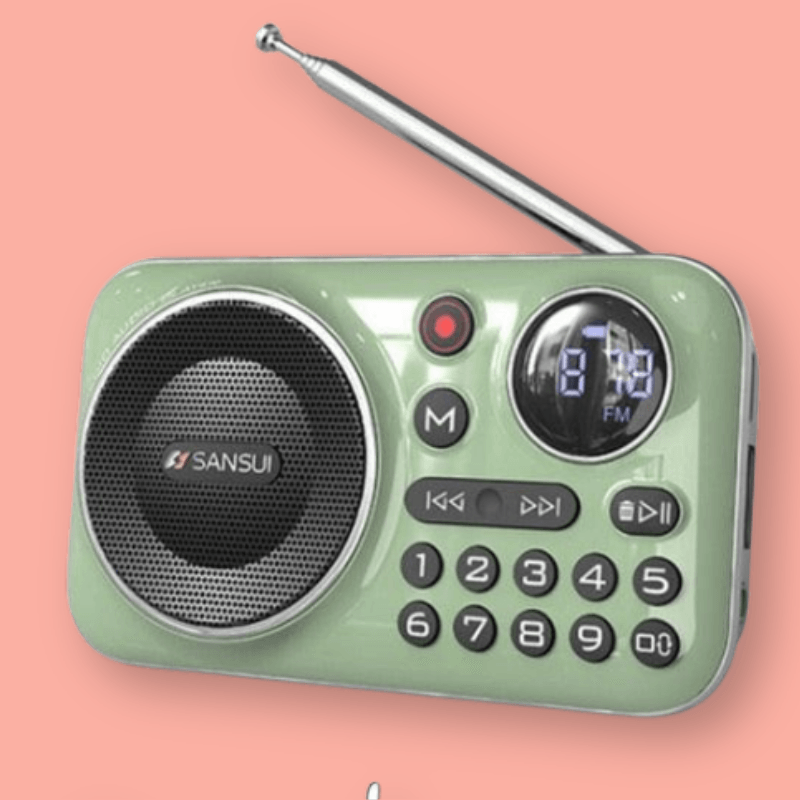 Radio FM Altavoz Bluetooth Mini Radio – The Refined Emporium