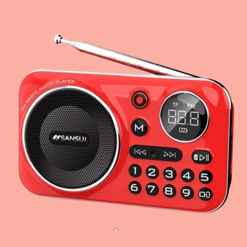 FM radio Bluetooth Speaker Mini Radio - The Refined Emporium