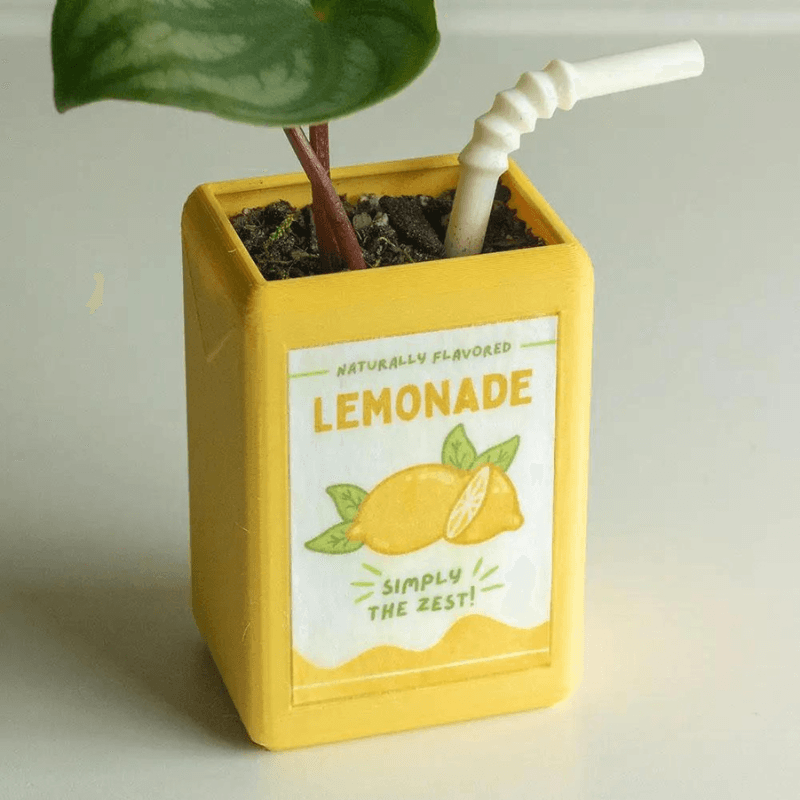Juice Box Flower Vase – The Refined Emporium