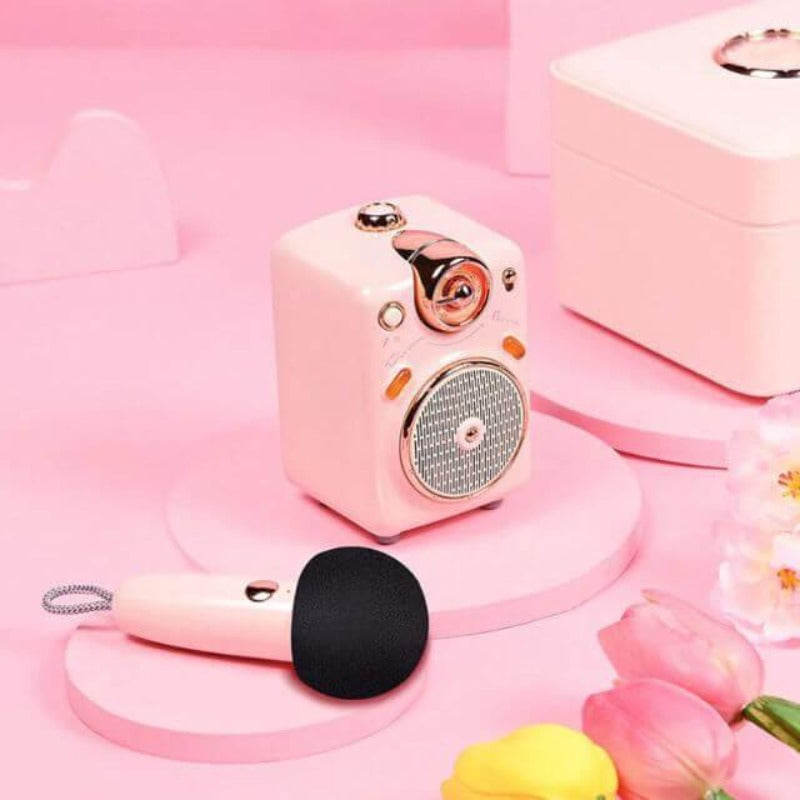 Enceinte Bluetooth Divoom Fairy style vintage avec microphone – The Refined  Emporium