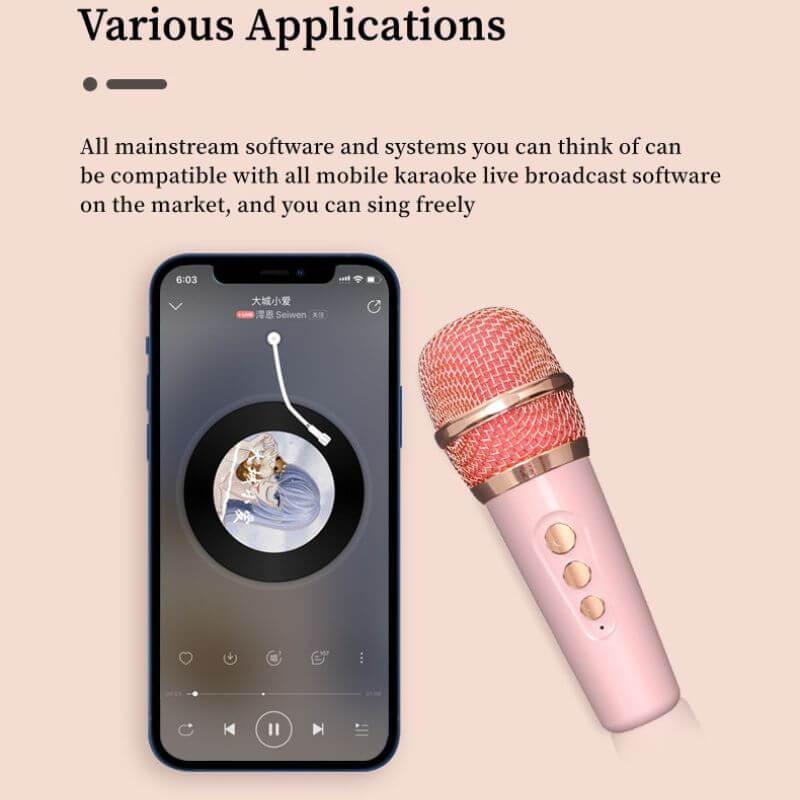 Karaoke Bluetooth Speaker - The Refined Emporium